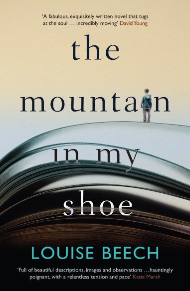 The Mountain in my Shoe aw.indd
