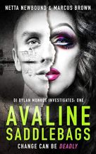 avaline saddlebags.jpg