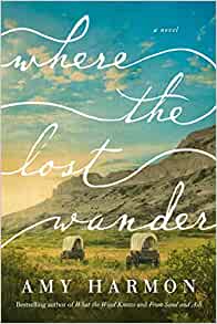 R3C20 where the lost wander